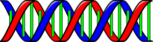Anonymous-Double-Helix-DNA-300px